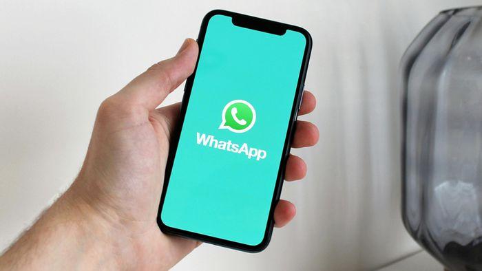Cuidado com o Boto: novo golpe no WhatsApp seduz vítimas com linguagem casual